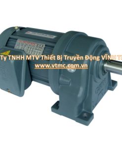 Motor giảm tốc trục thẳng chân đế WansinG VĨNH THÀNH