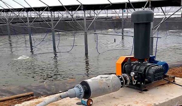 Máy thổi khí sử dụng trong hồ nuôi tôm